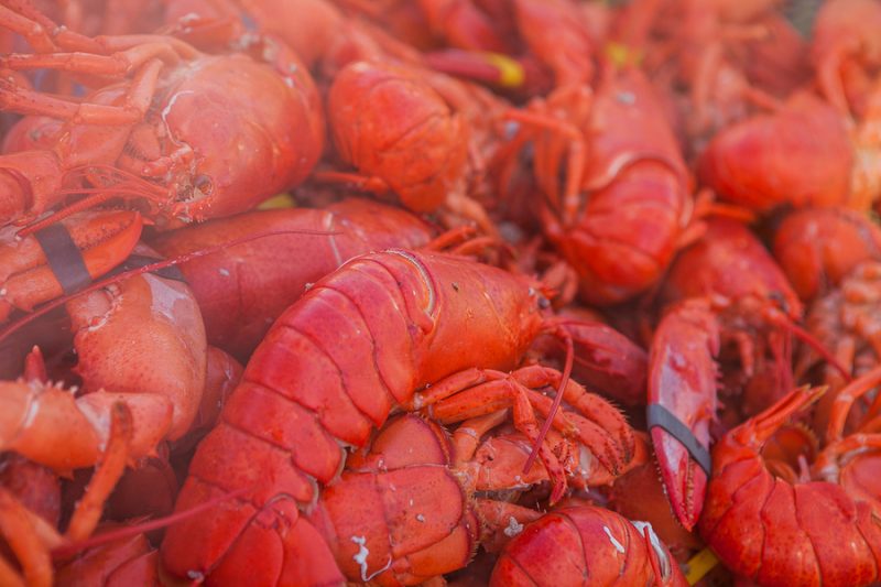 Lobster Poutine