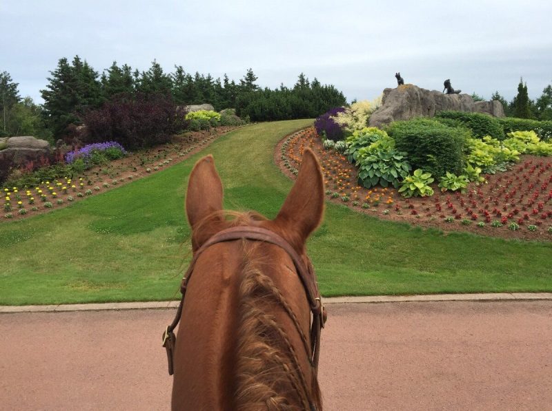 Enjoy horseback riding on beautiful trails.